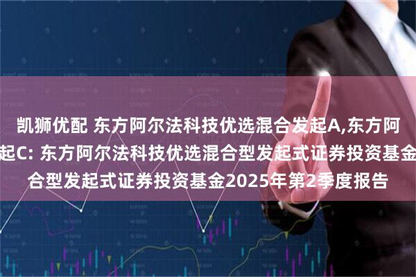 凯狮优配 东方阿尔法科技优选混合发起A,东方阿尔法科技优选混合发起C: 东方阿尔法科技优选混合型发起式证券投资基金2025年第2季度报告