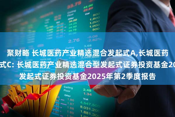 聚财略 长城医药产业精选混合发起式A,长城医药产业精选混合发起式C: 长城医药产业精选混合型发起式证券投资基金2025年第2季度报告