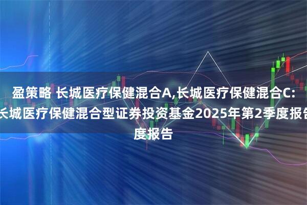 盈策略 长城医疗保健混合A,长城医疗保健混合C: 长城医疗保健混合型证券投资基金2025年第2季度报告